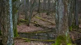 W poszukiwaniu wiosny, okolice Dobry i jez. Dobskiego - zdjęcie 29
