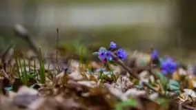 W poszukiwaniu wiosny, okolice Dobry i jez. Dobskiego - zdjęcie 32