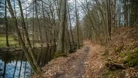 Ruciane Nida w marcowe popołudnie - zdjęcie 20