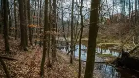 Ruciane Nida w marcowe popołudnie - zdjęcie 10