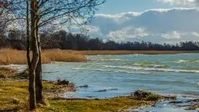 Marcowe kolory Nowych Gutów i jeziora Śniardwy - zdjęcie 33