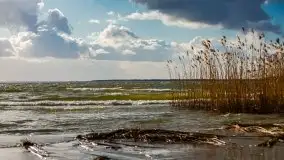 Marcowe kolory Nowych Gutów i jeziora Śniardwy - zdjęcie 31