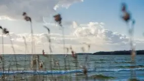 Marcowe kolory Nowych Gutów i jeziora Śniardwy - zdjęcie 27