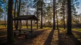 Marcowe kolory Nowych Gutów i jeziora Śniardwy - zdjęcie 16