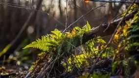 Marcowe kolory Nowych Gutów i jeziora Śniardwy - zdjęcie 15