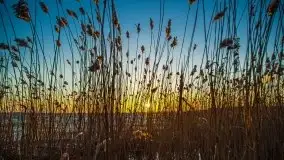 Marcowe kolory Nowych Gutów i jeziora Śniardwy - zdjęcie 7