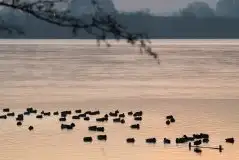 Zdjęcia: Mazurskie pejzaże na zdjęciach Janka Olchówki cz. II - zdjęcie 45