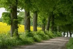 Zdjęcia: Mazurskie pejzaże na zdjęciach Janka Olchówki cz. II - zdjęcie 42