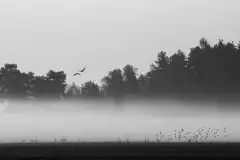 Zdjęcia: Mazurskie pejzaże na zdjęciach Janka Olchówki cz. II - zdjęcie 12