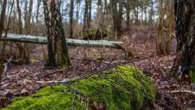 Okolice jeziora Patelnia i Kruklanek - zdjęcie 18