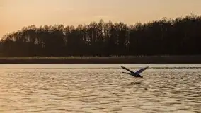 Jezioro Stręgiel skąpane w złocie zachodu słońca - zdjęcie 28