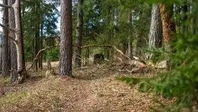 Las nad jeziorem Białym i rzeką Sapiną, marzec 2020 - zdjęcie 54