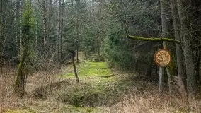 Las nad jeziorem Białym i rzeką Sapiną, marzec 2020 - zdjęcie 58