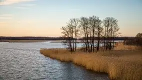 Okolice mostu Sztynorckiego, marzec 2020 - zdjęcie 26