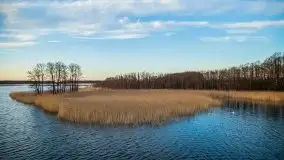 Okolice mostu Sztynorckiego, marzec 2020 - zdjęcie 38