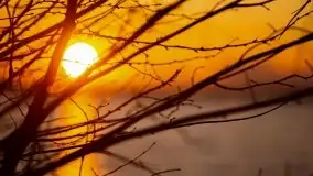 Złote Ogonki i jezioro Święcajty pierwszego dnia wiosny 2020 - zdjęcie 34