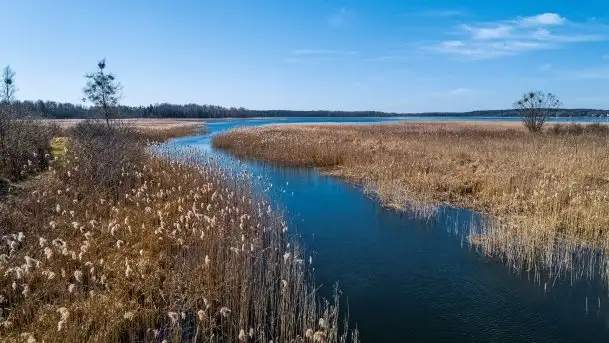 Jezioro Białoławki w marcowym słońcu