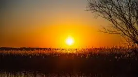 Kal i jezioro Mamry w marcowym słońcu - zdjęcie 42