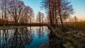 Kal i jezioro Mamry w marcowym słońcu - zdjęcie 35