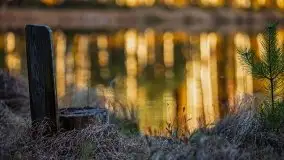 Jezioro Wesołek w marcu 2020 - zdjęcie 30