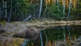 Jezioro Wesołek w marcu 2020 - zdjęcie 28