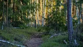 Jezioro Wesołek w marcu 2020 - zdjęcie 23