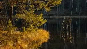 Jezioro Wesołek w marcu 2020 - zdjęcie 21