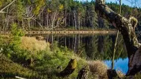 Jezioro Wesołek w marcu 2020 - zdjęcie 18