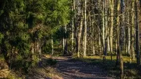 Jezioro Wesołek w marcu 2020 - zdjęcie 16