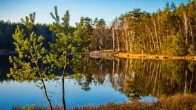 Jezioro Wesołek w marcu 2020 - zdjęcie 8