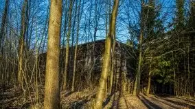 Mamerki i okolice pod koniec marca 2020 - zdjęcie 12