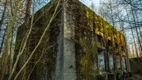 Mamerki i okolice pod koniec marca 2020 - zdjęcie 24