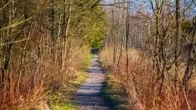 Śluza w Leśniewie w kolorach zachodzącego słońca - zdjęcie 4