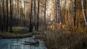 Śluza w Leśniewie w kolorach zachodzącego słońca - zdjęcie 25