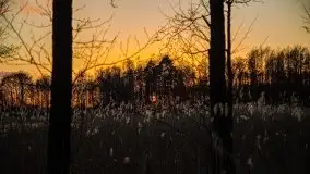 Jezioro Tałtowisko i kanał Grunwaldzki o zachodzie słońca - zdjęcie 13