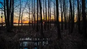 Jezioro Tałtowisko i kanał Grunwaldzki o zachodzie słońca - zdjęcie 12