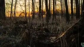 Jezioro Tałtowisko i kanał Grunwaldzki o zachodzie słońca - zdjęcie 20