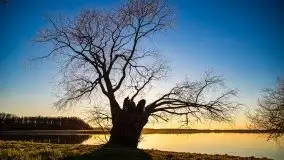 Pierkunowo i jezioro Kisajno w kwietniowym słońcu - zdjęcie 15