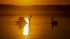 Pierkunowo i jezioro Kisajno w kwietniowym słońcu - zdjęcie 23