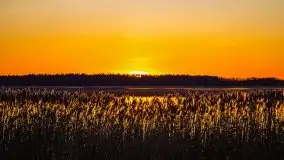 Pierkunowo i jezioro Kisajno w kwietniowym słońcu - zdjęcie 47