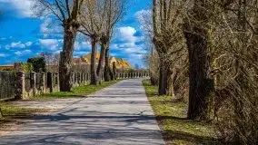 Pisz w kwietniowych promieniach słońca - zdjęcie 16