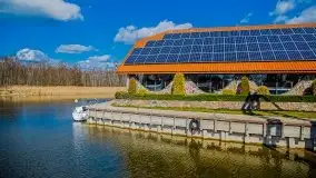 Pisz w kwietniowych promieniach słońca - zdjęcie 3