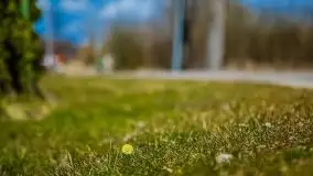 Pisz w kwietniowych promieniach słońca - zdjęcie 77