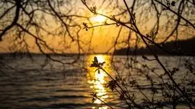 Złote jezioro Dejguny w kwietniowym słońcu - zdjęcie 2