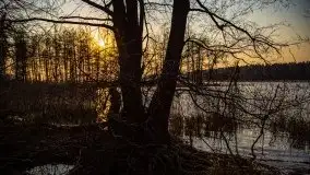 Złote jezioro Dejguny w kwietniowym słońcu - zdjęcie 7