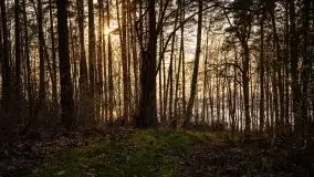 Złote jezioro Dejguny w kwietniowym słońcu - zdjęcie 9