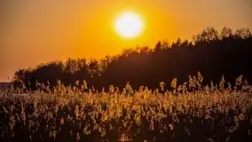 Złote jezioro Dejguny w kwietniowym słońcu - zdjęcie 32