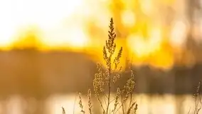 Zachód słońca na jeziorami Węgielsztyn i Rydzówka - zdjęcie 10