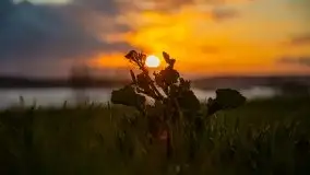 Zachód słońca na jeziorami Węgielsztyn i Rydzówka - zdjęcie 24