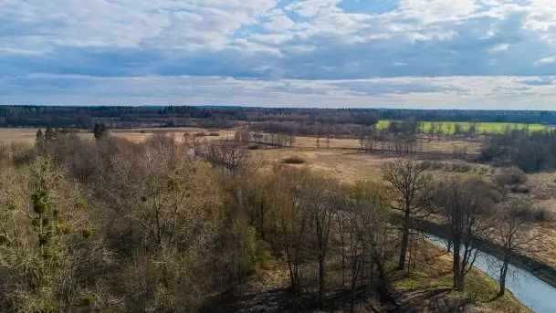 Ruiny Pałacu w Mieduniszkach Wielkich - zdjęcie 5